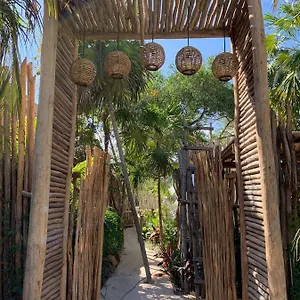 https://chiibal.allrivieramayahotels.com